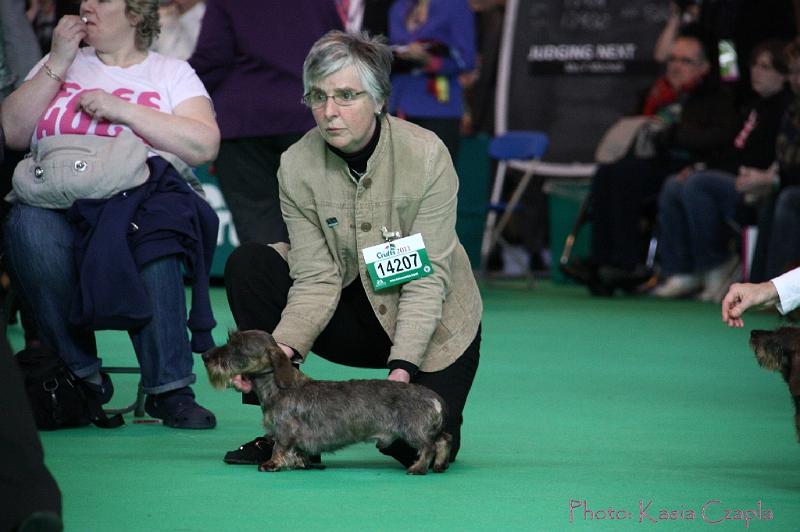 Crufts2011_2 651.jpg